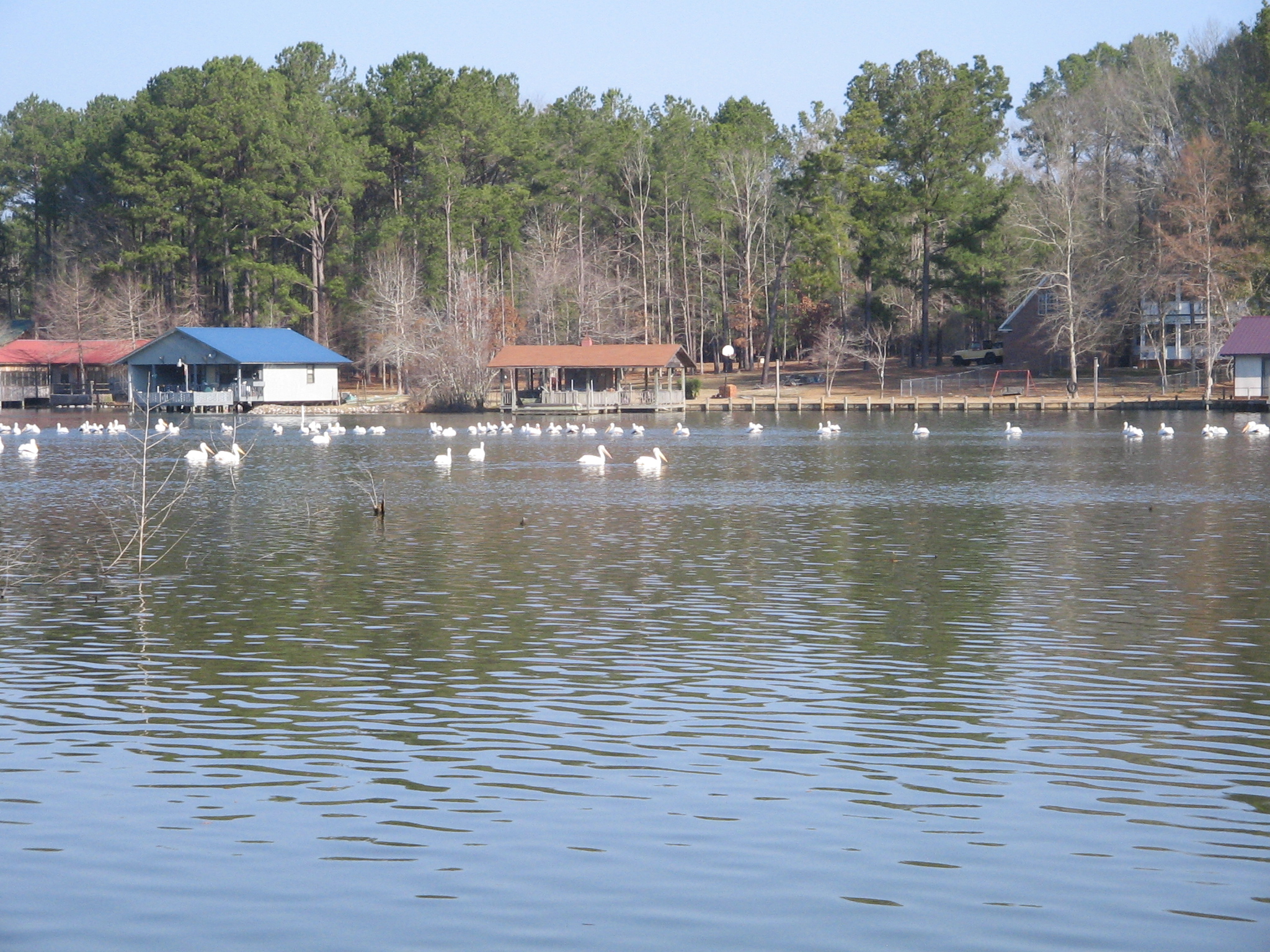 Lake Eddins A quiet, private, lakeside community with friendly neighbors!
